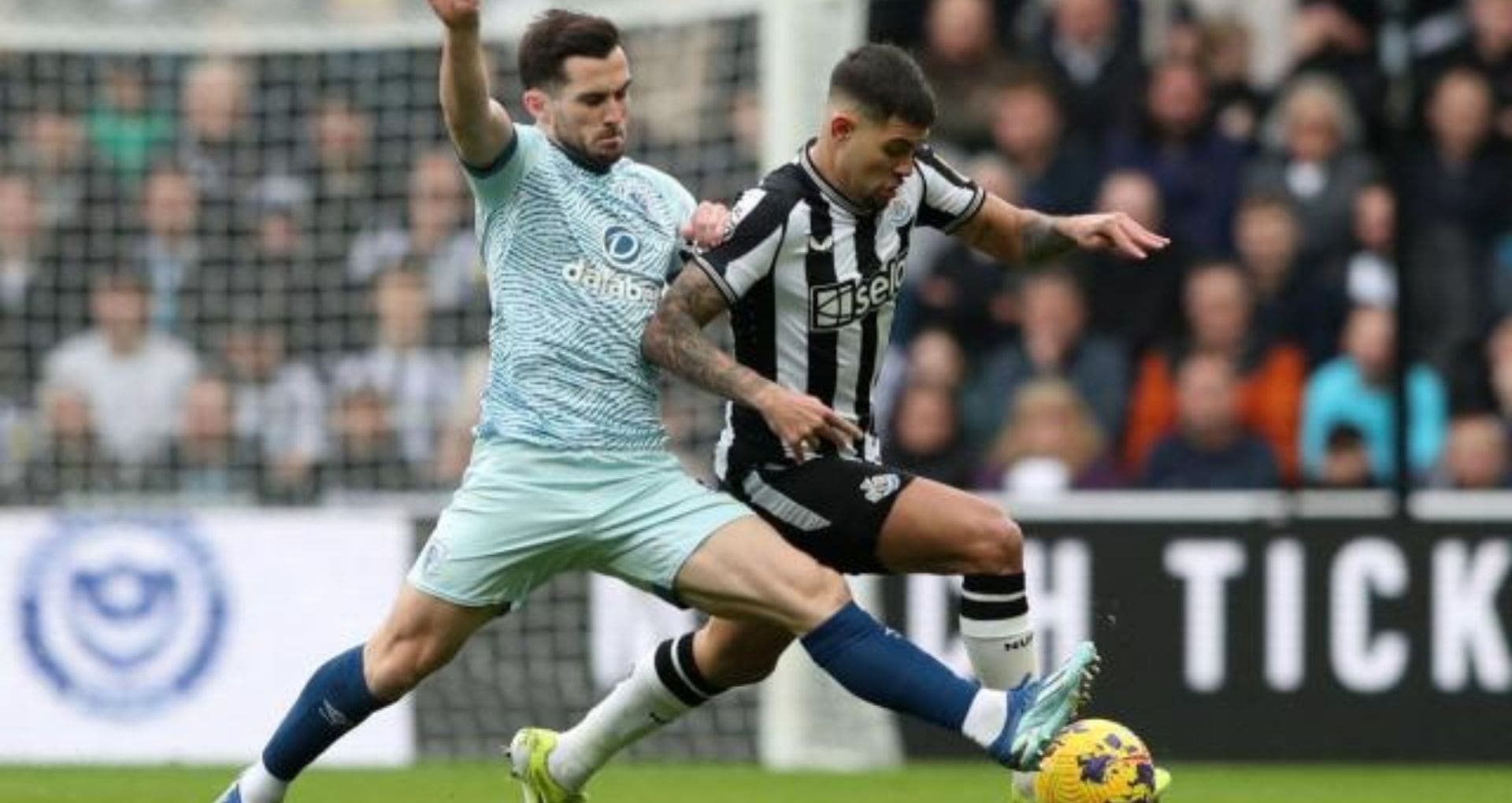 Prediksi Newcastle vs Bournemouth 18 Januari 2025