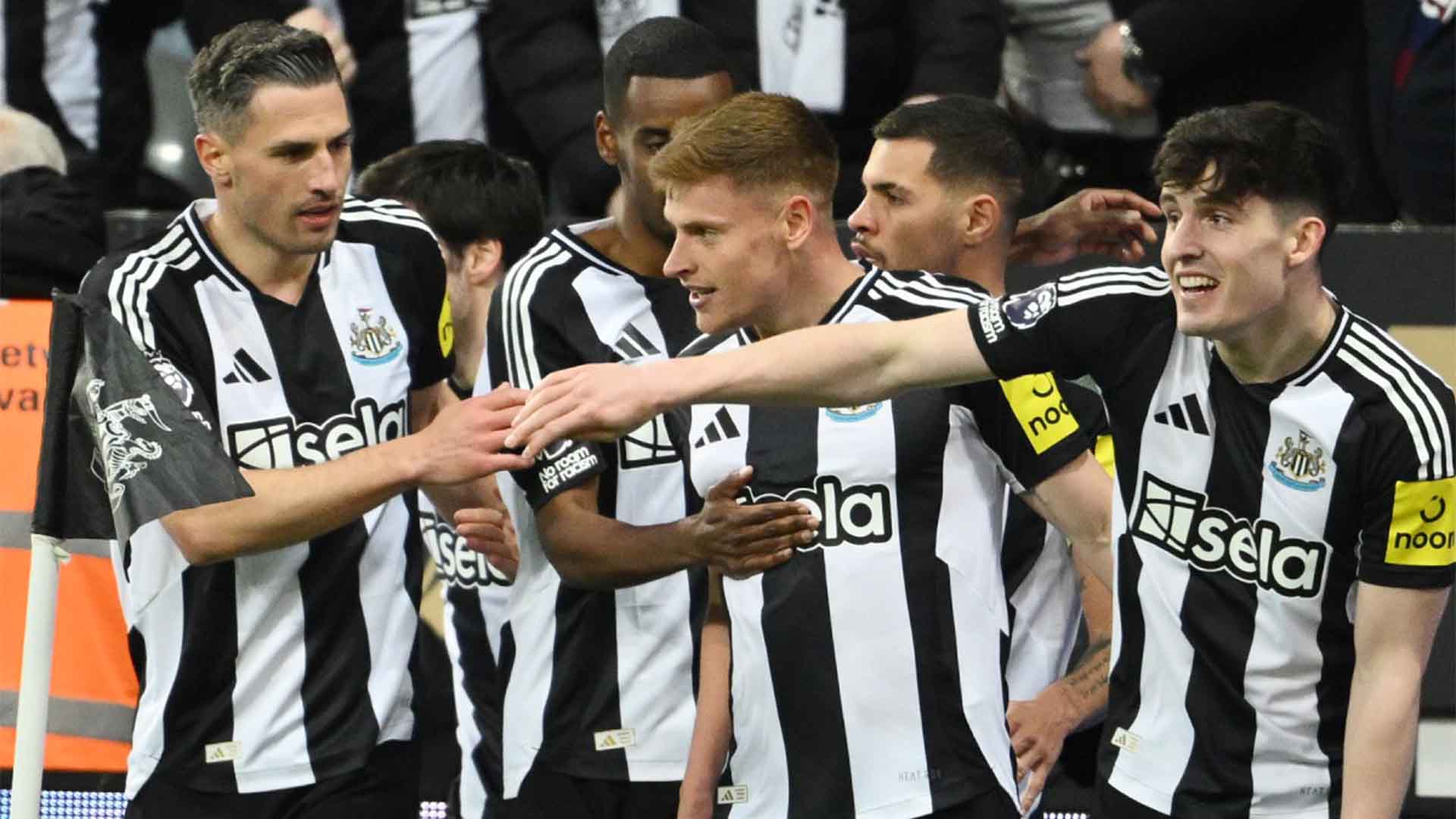 Newcastle Dihantui Cedera Jelang Partai Kontra Arsenal