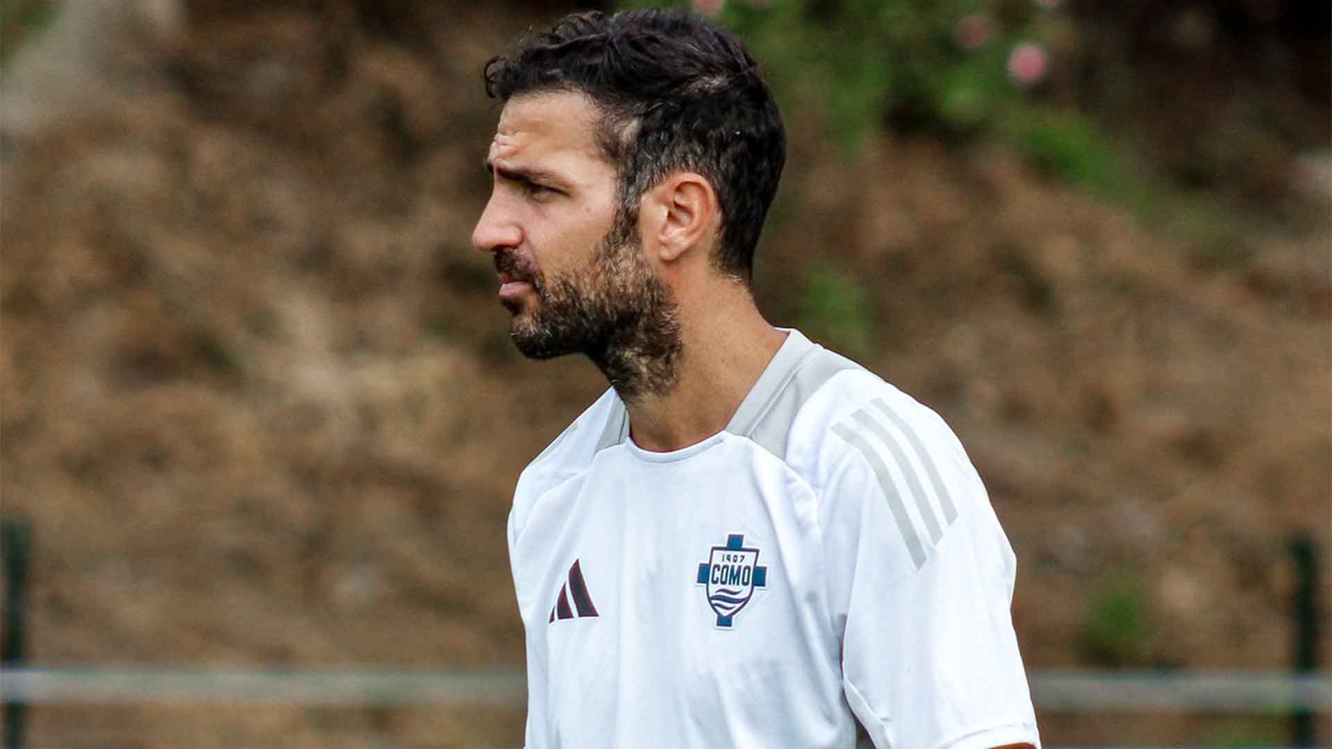 Inter Milan Incar Cesc Fàbregas untuk Gantikan Simone Inzaghi